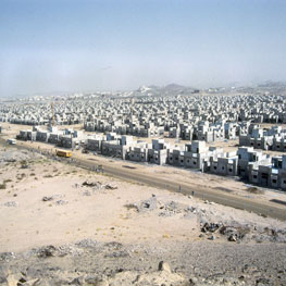 1982