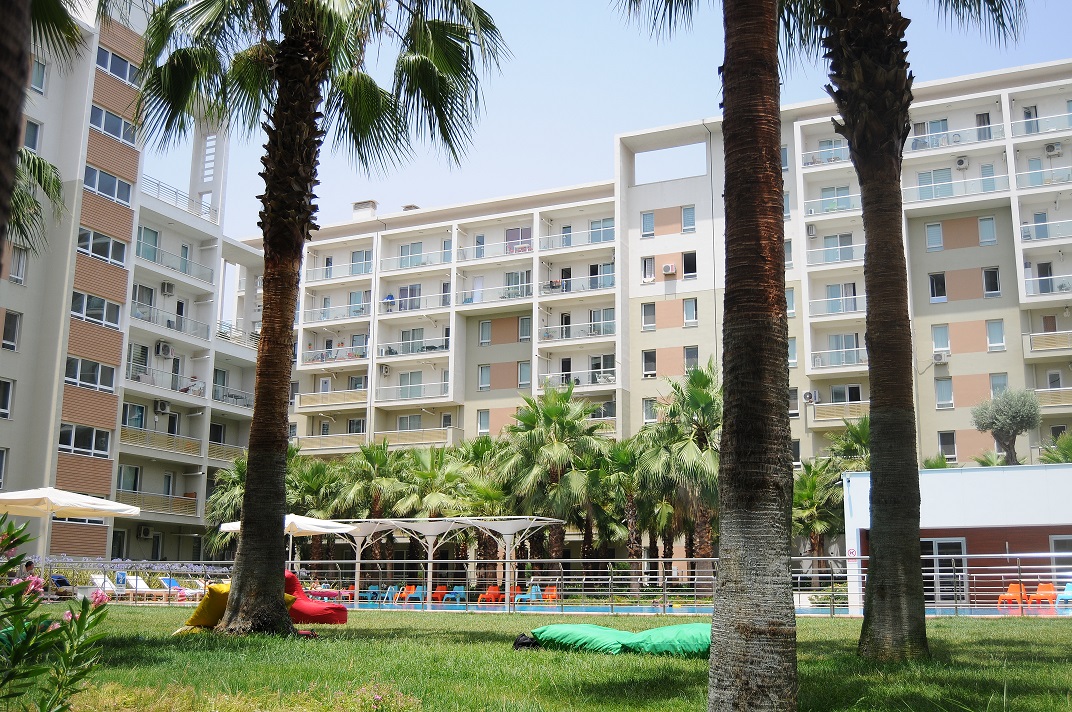 2011