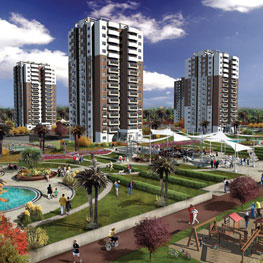 2006